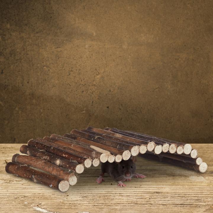 Image du produit Relaxdays Pont pour rongeurs en bois
