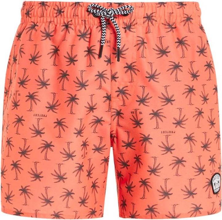 New Coral