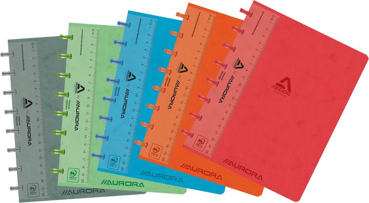 Immagine prodotto Adoc Ringbuch (A5, Quadretti, Copertina morbida)
