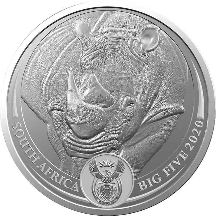 South Africa Mint Silver Rhino 1 oz - Big Five Series I - 2020 (999, 2020)