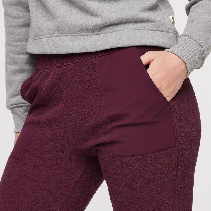 Actual product image Cotopaxi Abrazo Fleece Jogger (M)