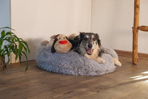 Actual product image Beeztees Joep (Plush toy dog)