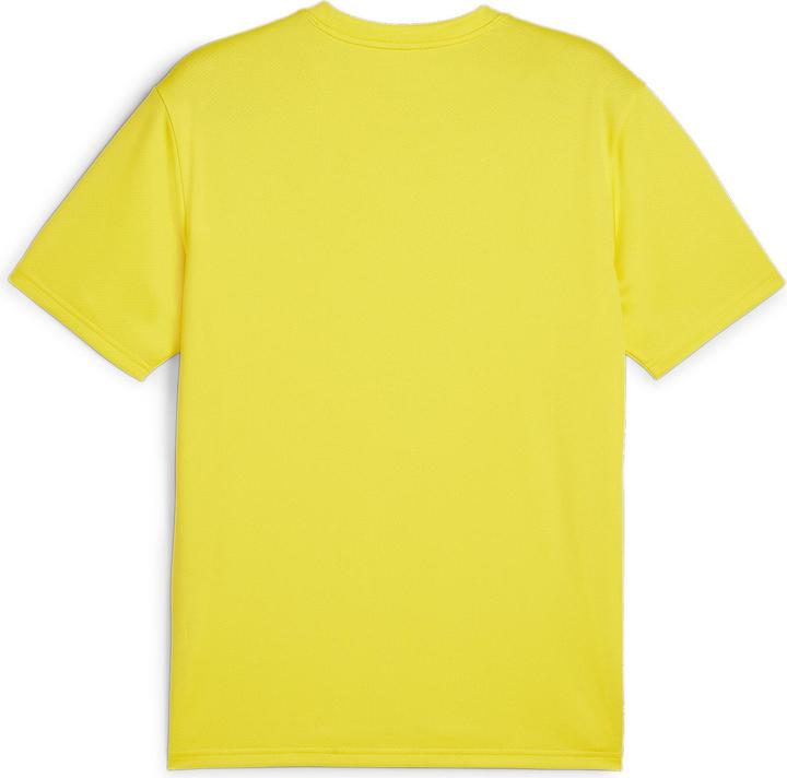 Actual product image Puma teamGOAL Jersey (L)