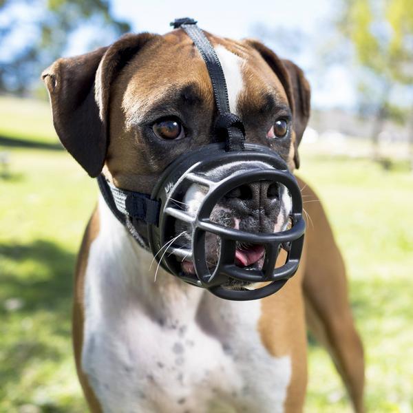 Produktbild Company of Animals Ultra-Maulkorb Baskerville (6, Hund, Allgemein)