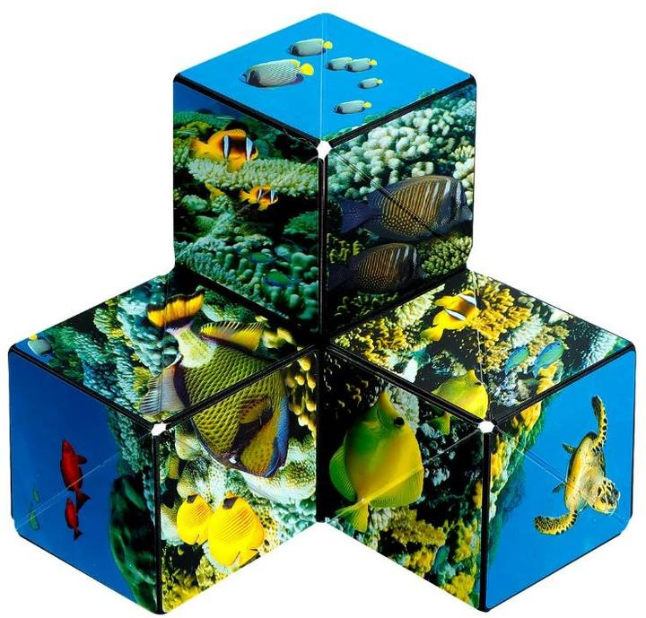 Produktbild Shashibo Cube Undersea (Multilingual)