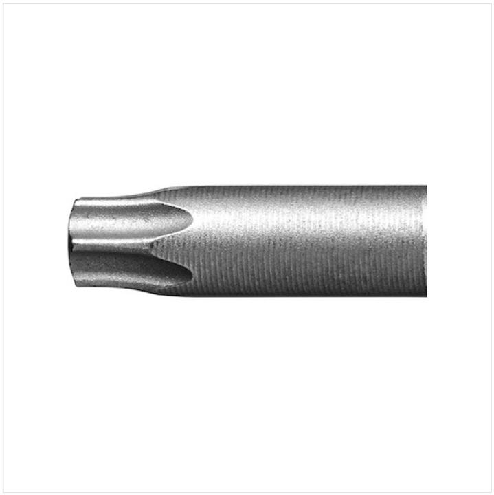 Productafbeelding Festool Bit TX 20-100 CE/2 (TX20)