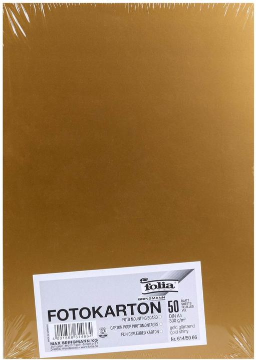 Actual product image Folia Photo board (300 g/m², 1 x)