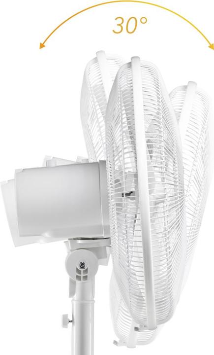 Actual product image Trotec Designer Pedestal Fan TVE 23 S (60 dB)