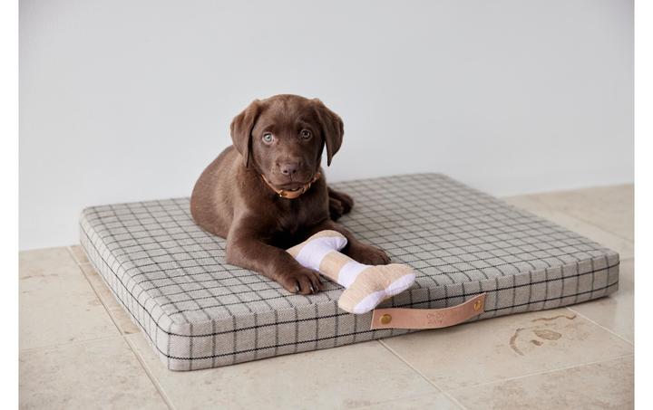 Image du produit Oyoy Milo (Chien)