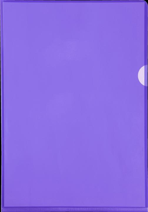 Immagine prodotto Exacompta Aktensichthüllen (A4, 10 x)