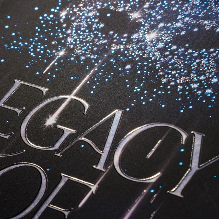 Actual product image Legacy of Stars 2: Gefallene Finsternis (German, Dana Müller-Brown, 2025)