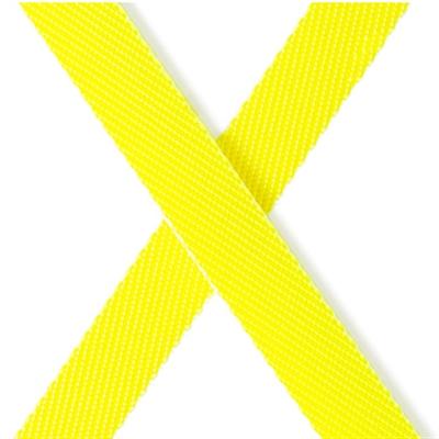 Actual product image Flexi Giant (M, Dog, Walks)