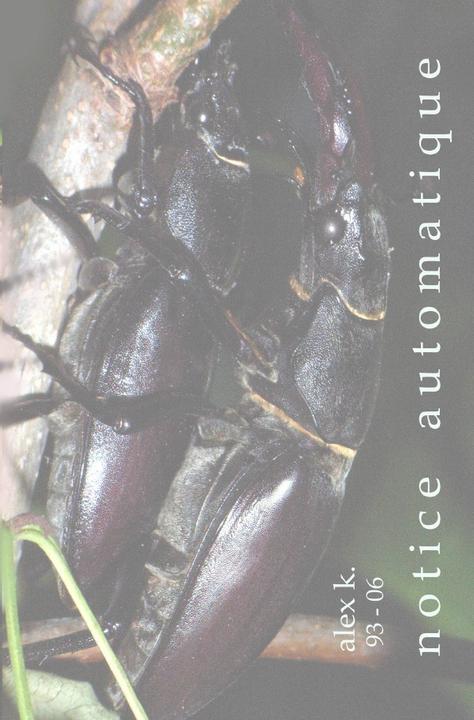 Produktbild notice automatique (Deutsch, alex k., 2018)