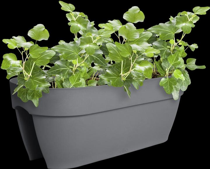 Produktbild Elho Vibia Campana Flower Bridge (59 cm)