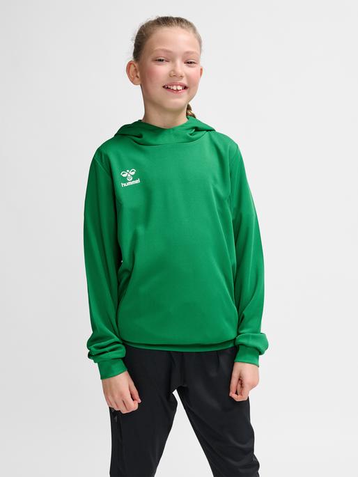 Immagine prodotto hummel Hmlauthentic Pl Hoodie Kids (140)