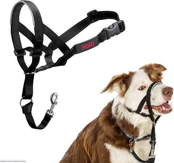 Produktbild Company of Animals Haiti (One Size, Hund, Hundesport)