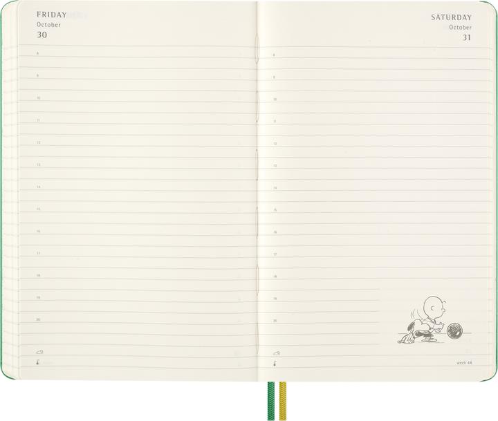 Actual product image Moleskine Peanuts (13 x 21 cm, English)