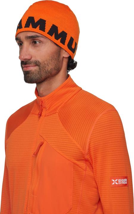 Produktbild Mammut Logo Beanie (One Size)