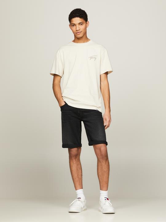 Actual product image Tommy Hilfiger RONNIE denim shorts (30)