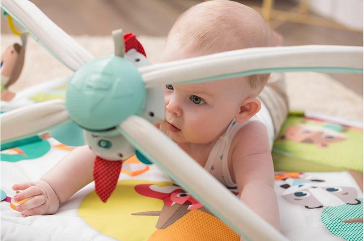 Productafbeelding Tiny Love Gymini Bos Thema Deluxe