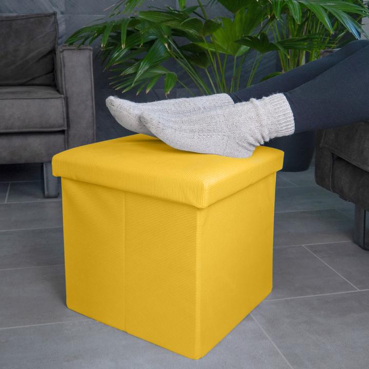 Produktbild Intirilife Faltbarer Sitzhocker mit Stauraum