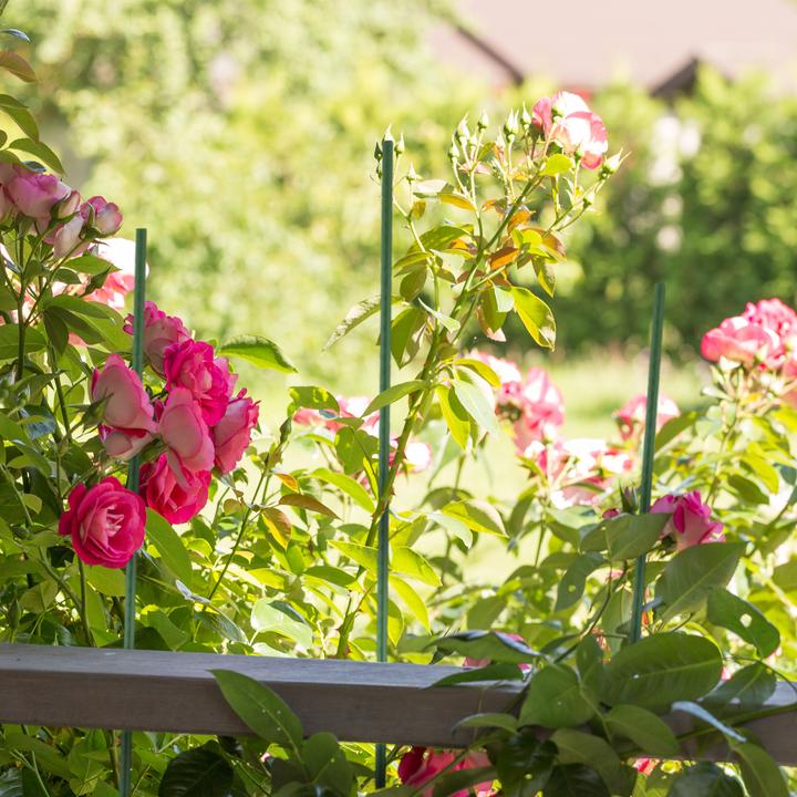 Actual product image Relaxdays 10x planting stick (1 cm, 1 cm)