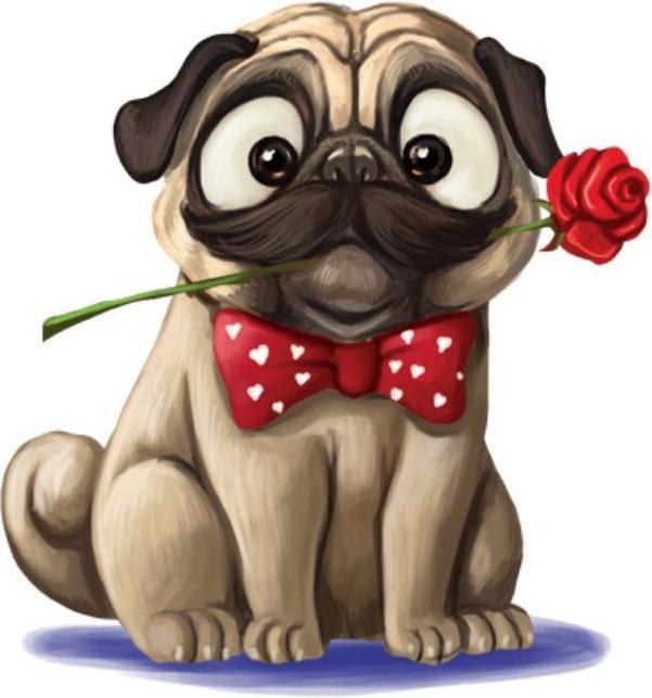 Actual product image Mops (French, English, German, Italian)