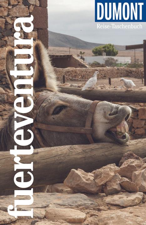 Produktbild Reise-Taschenbuch Reiseführer Fuerteventura (Deutsch, Susanne Lipps-Breda, 2020)