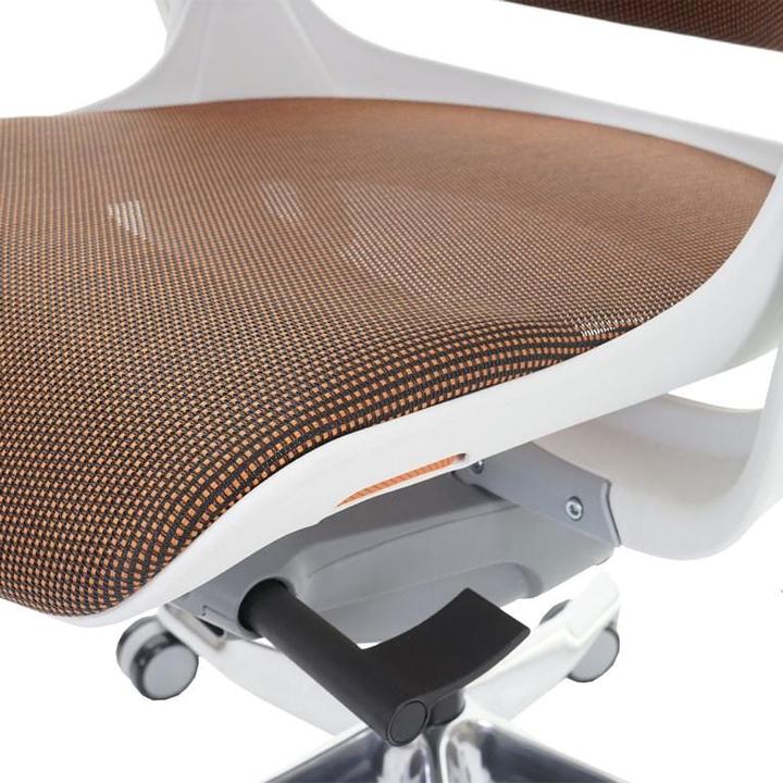Actual product image Merryfair Woof 2