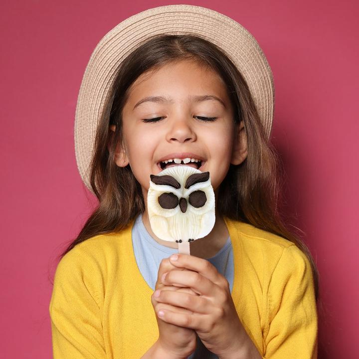 Produktbild Metamorph Eule Silikonform für Eis am Stiel