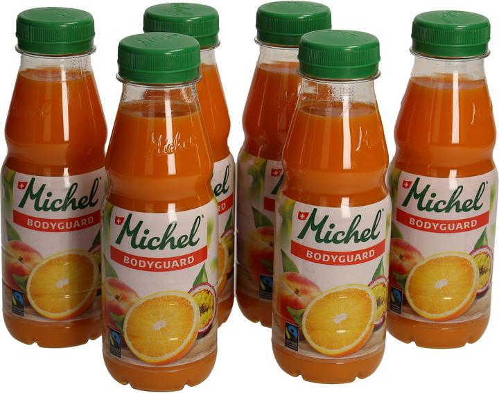 Produktbild Michel Bodyguard Pet (1 x 33 cl)