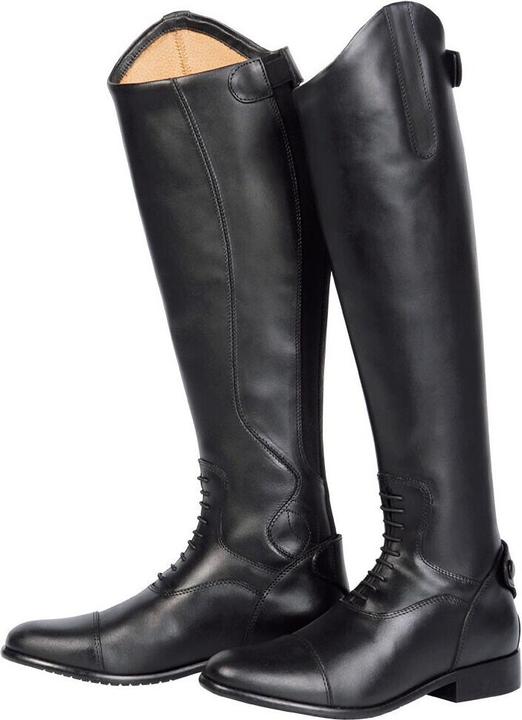 Harry's Horse Donatelli M (36)