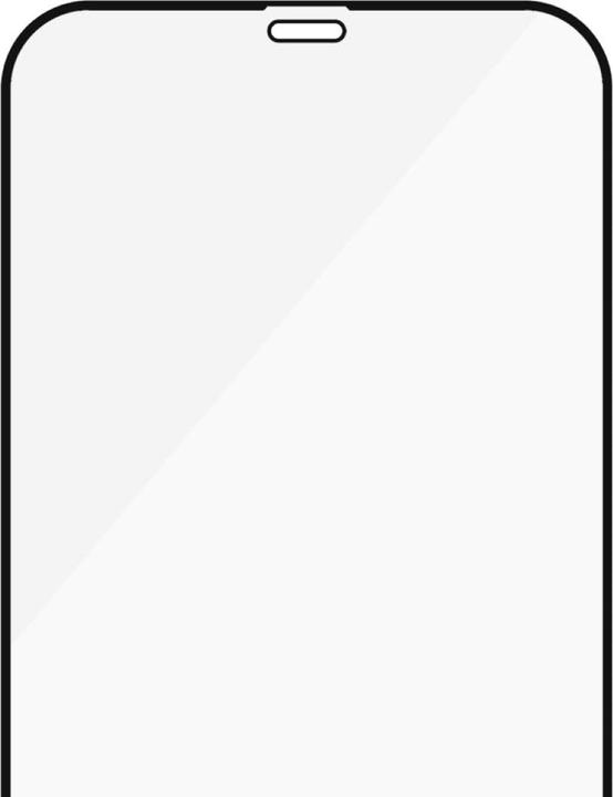 Actual product image PanzerGlass Edge-to-Edge (1 Piece, Apple iPhone 12 Pro Max)