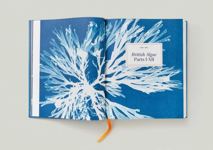 Produktbild Anna Atkins. Cyanotypes (Englisch, Französisch, Deutsch, Walther, Peter, 2023)