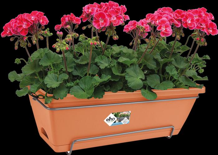 Actual product image Elho Barcelona Allin (27.50 cm)