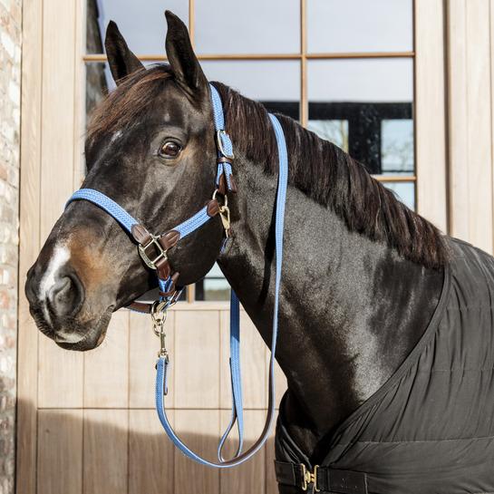 Immagine prodotto Kentucky Horsewear Cavezza per cavalli nylon intrecciata