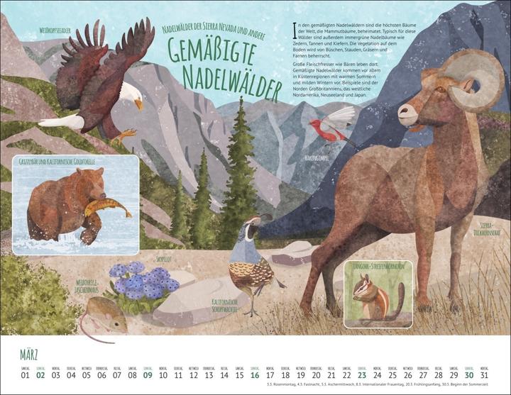 Produktbild Wo Tiere und Pflanzen zu Hause sind Kalender 2025 - Biome der Welt (44 x 34 cm, Harter Einband, Deutsch)