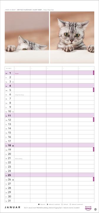 Image du produit Whiskas'Cattitude'Familienplaner2026 (21 x 45 cm, Couverture rigide, Allemand)