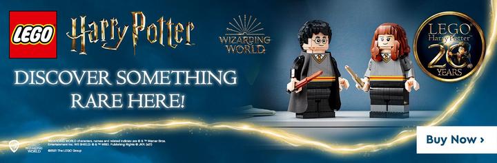 Image du produit LEGO Harry Potter & Hermine Granger (76393, LEGO Harry Potter, LEGO difficiles à trouver)