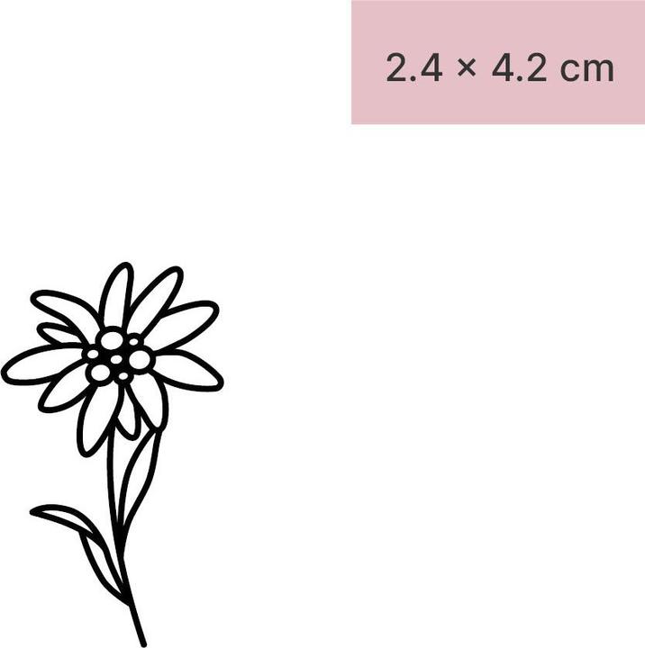 Image du produit minink Tatouage temporaire - Fleur d'edelweiss