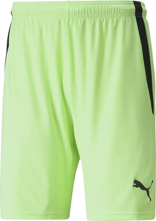 Produktbild Puma teamLIGA Shorts (XL)