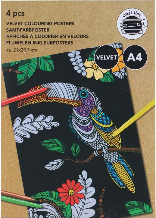 Image du produit Craft Poster sur le mot-clé : "Couleurs velours