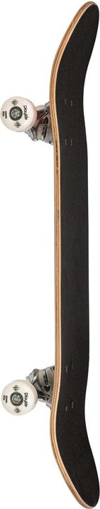 Image du produit Playlife Planche à roulettes Tribal Mighty Bear (31.10")