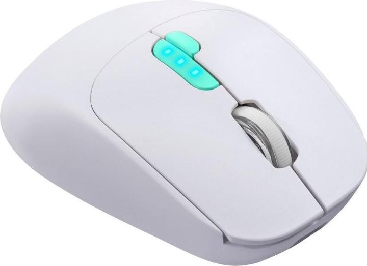 Actual product image Defender MYSZ NITTA MM-307 RF+BT OPTIC 1600dpi 6P BIAŁA (Wireless)