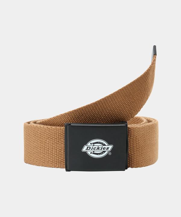 Actual product image Dickies Orcutt Web Belt Brown (120)