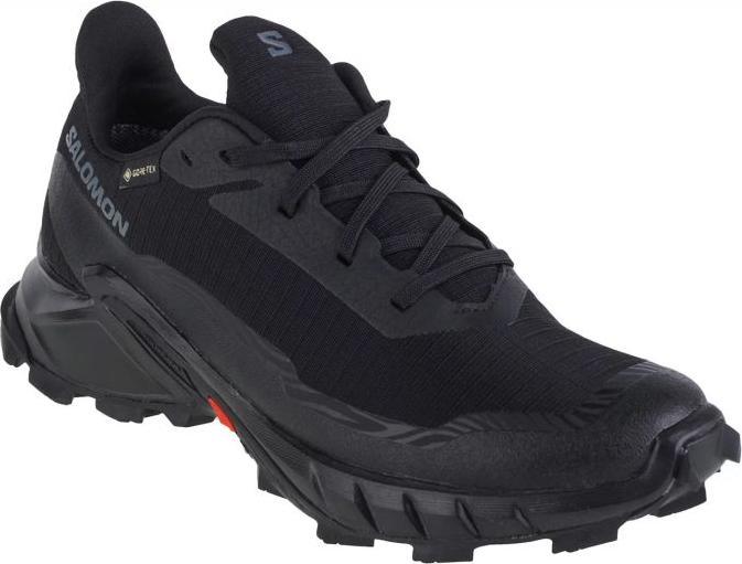 Produktbild Salomon Alphacross 5 GTX (39 1/3)