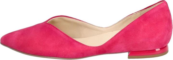 Högl Ballerinas (39)