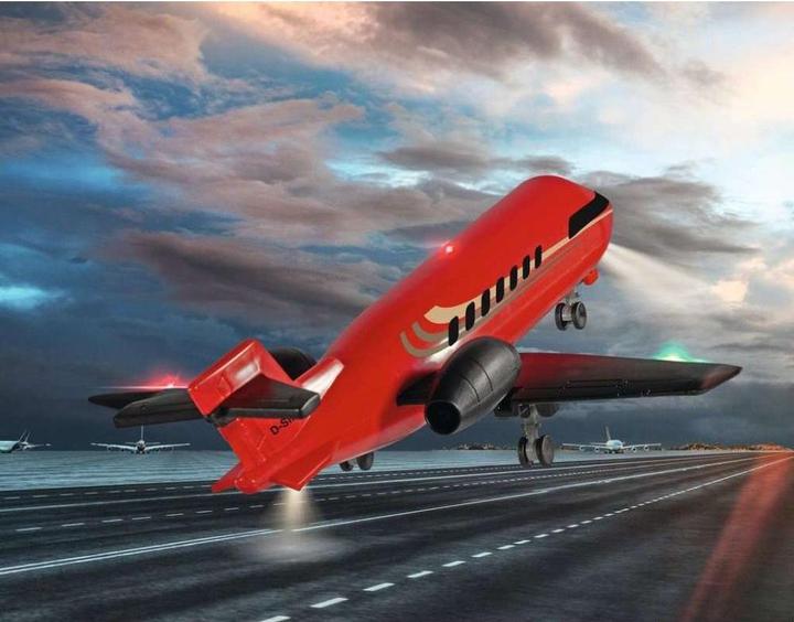 Actual product image Siku Business aircraft