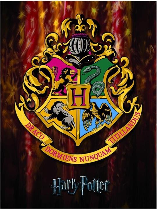 Produktbild Gerahmter Leinwanddruck Hogwarts Wappen (40 x 30 cm)