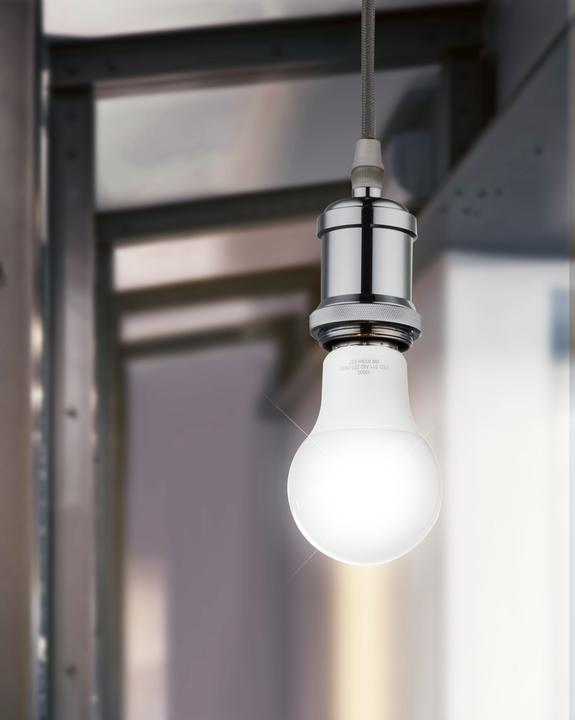 Image du produit Globo Ampoule LED Aluminium 1xE27 LED (E27, 9 W, 810 lm, 1 x, F)